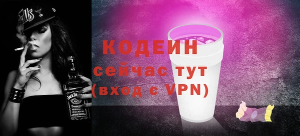 спиды Бородино